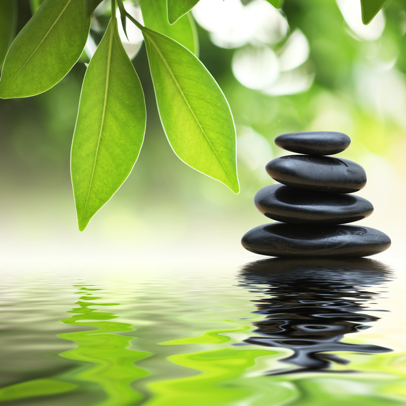 a stack of zen stones in water under green leaves